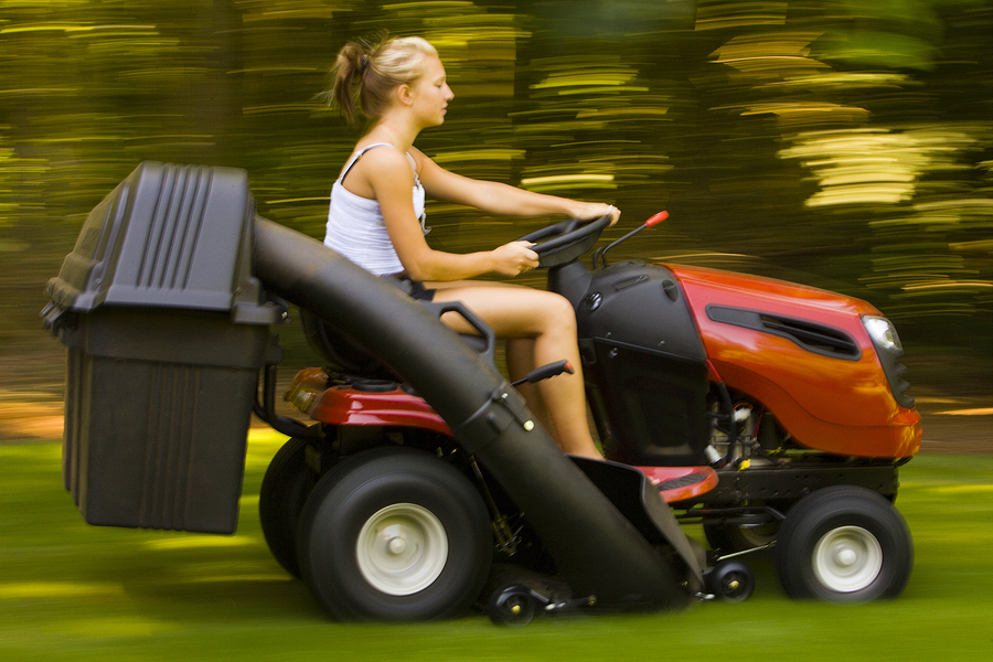 9. Lawn Care and Landscaping